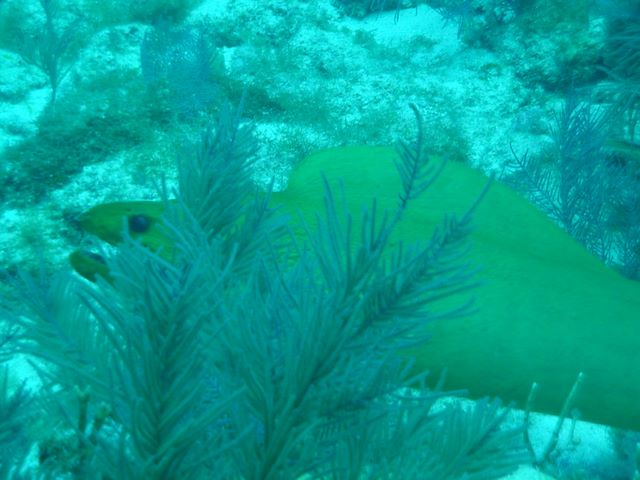 dsc00177